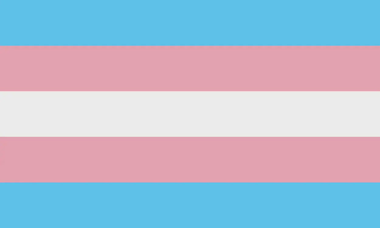 Bandera trans